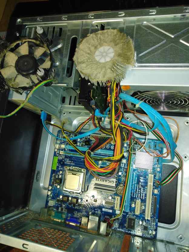 Сколько ремонт ноутбука Fujitsu питер